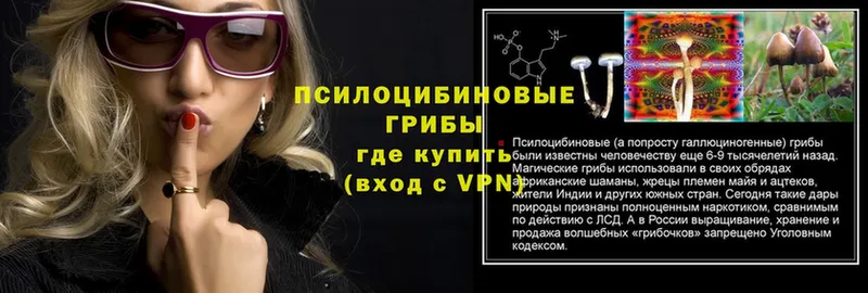 МЕГА зеркало  Болотное  Галлюциногенные грибы Psilocybe 